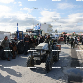 ΔΙΑΜΑΡΤΥΡΙΑ ΑΓΡΟΤΩΝ