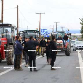 ΦΕΥΓΟΥΝ ΑΠΟ ΤΟ ΑΕΡΟΔΡΟΜΙΟ ΟΙ ΚΤΗΝΟΤΡΟΦΟΙ