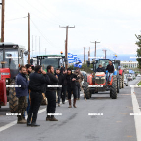ΦΕΥΓΟΥΝ ΑΠΟ ΤΟ ΑΕΡΟΔΡΟΜΙΟ ΟΙ ΚΤΗΝΟΤΡΟΦΟΙ