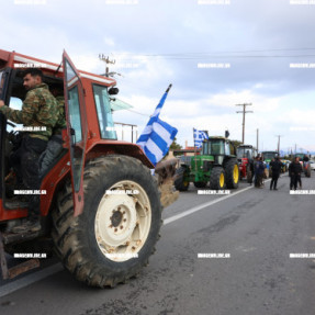 ΦΕΥΓΟΥΝ ΑΠΟ ΤΟ ΑΕΡΟΔΡΟΜΙΟ ΟΙ ΚΤΗΝΟΤΡΟΦΟΙ
