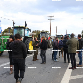 ΦΕΥΓΟΥΝ ΑΠΟ ΤΟ ΑΕΡΟΔΡΟΜΙΟ ΟΙ ΚΤΗΝΟΤΡΟΦΟΙ