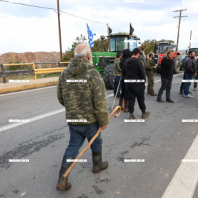 ΦΕΥΓΟΥΝ ΑΠΟ ΤΟ ΑΕΡΟΔΡΟΜΙΟ ΟΙ ΚΤΗΝΟΤΡΟΦΟΙ