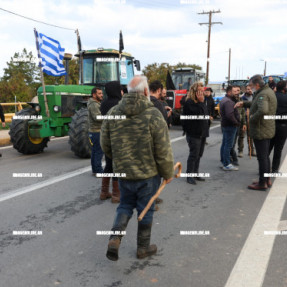 ΦΕΥΓΟΥΝ ΑΠΟ ΤΟ ΑΕΡΟΔΡΟΜΙΟ ΟΙ ΚΤΗΝΟΤΡΟΦΟΙ