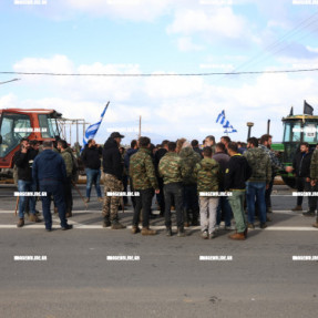 ΦΕΥΓΟΥΝ ΑΠΟ ΤΟ ΑΕΡΟΔΡΟΜΙΟ ΟΙ ΚΤΗΝΟΤΡΟΦΟΙ