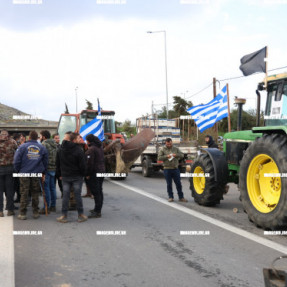 ΦΕΥΓΟΥΝ ΑΠΟ ΤΟ ΑΕΡΟΔΡΟΜΙΟ ΟΙ ΚΤΗΝΟΤΡΟΦΟΙ