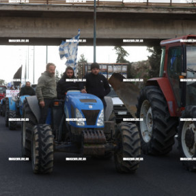 ΦΕΥΓΟΥΝ ΑΠΟ ΤΟ ΑΕΡΟΔΡΟΜΙΟ ΟΙ ΚΤΗΝΟΤΡΟΦΟΙ