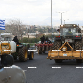 ΦΕΥΓΟΥΝ ΑΠΟ ΤΟ ΑΕΡΟΔΡΟΜΙΟ ΟΙ ΚΤΗΝΟΤΡΟΦΟΙ
