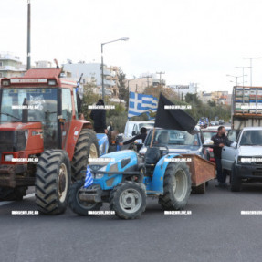 ΦΕΥΓΟΥΝ ΑΠΟ ΤΟ ΑΕΡΟΔΡΟΜΙΟ ΟΙ ΚΤΗΝΟΤΡΟΦΟΙ