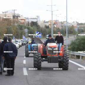 ΦΕΥΓΟΥΝ ΑΠΟ ΤΟ ΑΕΡΟΔΡΟΜΙΟ ΟΙ ΚΤΗΝΟΤΡΟΦΟΙ