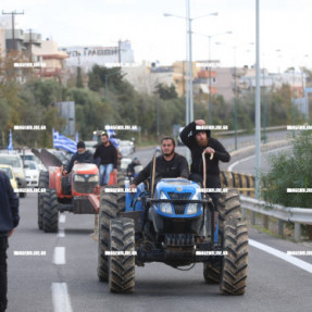 ΦΕΥΓΟΥΝ ΑΠΟ ΤΟ ΑΕΡΟΔΡΟΜΙΟ ΟΙ ΚΤΗΝΟΤΡΟΦΟΙ