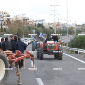 ΦΕΥΓΟΥΝ ΑΠΟ ΤΟ ΑΕΡΟΔΡΟΜΙΟ ΟΙ ΚΤΗΝΟΤΡΟΦΟΙ