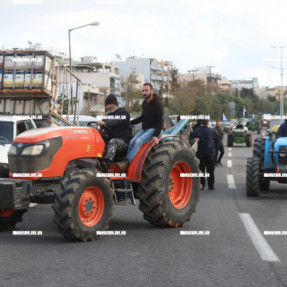 ΦΕΥΓΟΥΝ ΑΠΟ ΤΟ ΑΕΡΟΔΡΟΜΙΟ ΟΙ ΚΤΗΝΟΤΡΟΦΟΙ