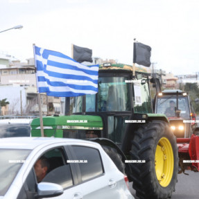 ΦΕΥΓΟΥΝ ΑΠΟ ΤΟ ΑΕΡΟΔΡΟΜΙΟ ΟΙ ΚΤΗΝΟΤΡΟΦΟΙ