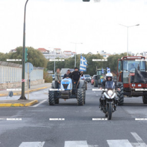 ΦΕΥΓΟΥΝ ΑΠΟ ΤΟ ΑΕΡΟΔΡΟΜΙΟ ΟΙ ΚΤΗΝΟΤΡΟΦΟΙ