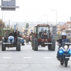 ΦΕΥΓΟΥΝ ΑΠΟ ΤΟ ΑΕΡΟΔΡΟΜΙΟ ΟΙ ΚΤΗΝΟΤΡΟΦΟΙ