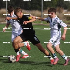 ΟΦΗ ΠΑΝΑΘΗΝΑΙΚΟΣ Κ15