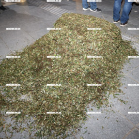 ΔΙΑΜΑΡΤΥΡΙΑ ΑΓΡΟΤΩΝ ΣΤΗΝ ΠΕΡΙΦΕΡΕΙΑ