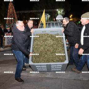 ΔΙΑΜΑΡΤΥΡΙΑ ΑΓΡΟΤΩΝ ΣΤΗΝ ΠΕΡΙΦΕΡΕΙΑ