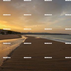 ΗΛΙΟΒΑΣΙΛΕΜΑ ΣΤΟ ΤΟΜΠΡΟΥΚ