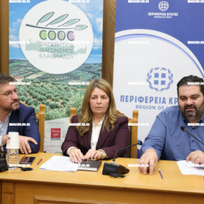 ΠΑΡΟΥΣΙΑΣΗ 12ΟΥ ΠΑΓΚΡΗΤΙΟΥ ΔΙΑΓΩΝΙΣΜΟΥ ΕΛΑΙΟΛΑΔΟΥ