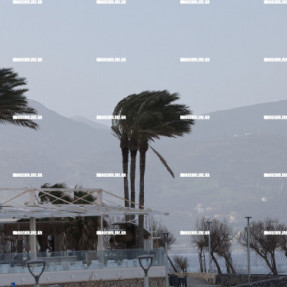 ΣΚΟΝΗ - ΝΟΤΙΑΔΕΣ