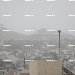 ΣΚΟΝΗ- ΝΟΤΙΑΔΕΣ