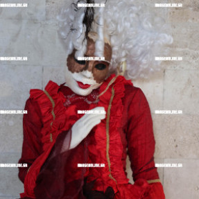 ΒΕΝΕΤΖΙΑΝΙΚΕΣ ΣΤΟΛΕΣ ΛΟΤΖΙΑ ΕΝΟΨΗ ΚΑΡΝΑΒΑΛΙΟΥ