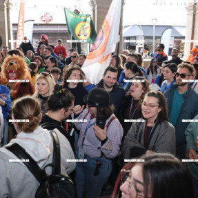 ΚΥΝΗΓΙ ΤΟΥ ΧΑΜΕΝΟΥ ΘΗΣΑΥΡΟΥ