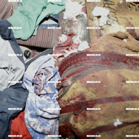 ΒΡΕΘΗΚΕ ΠΤΩΜΑ ΣΤΑ ΚΑΜΙΝΙΑ