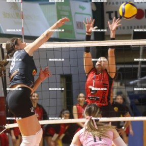 ΟΦΗ ΑΜΑΖΟΝΕΣ