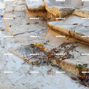 ΚΑΘΑΡΙΣΜΟΣ ΤΟΥ ΣΥΝΤΡΙΒΑΝΙΟΥ ΤΩΝ ΛΙΟΝΤΑΡΙΩΝ