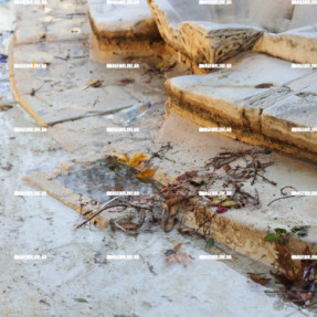 ΚΑΘΑΡΙΣΜΟΣ ΤΟΥ ΣΥΝΤΡΙΒΑΝΙΟΥ ΤΩΝ ΛΙΟΝΤΑΡΙΩΝ