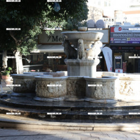 ΚΑΘΑΡΙΣΜΟΣ ΤΟΥ ΣΥΝΤΡΙΒΑΝΙΟΥ ΤΩΝ ΛΙΟΝΤΑΡΙΩΝ