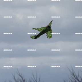 ΚΑΘΑΡΑ ΔΕΥΤΕΡΑ ΧΑΡΤΑΕΤΟΙ