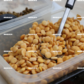 ΚΟΥΛΟΥΜΑ ΣΤΗΝ ΑΛΙΚΑΡΝΑΣΣΟ - ΚΑΡΑΒΟΛΑ - ΛΟΤΖΙΑ