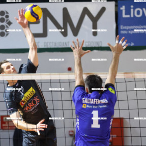 ΟΦΗ ΦΟΙΝΙΚΑΣ ΣΥΡΟΥ