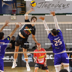 ΟΦΗ ΦΟΙΝΙΚΑΣ ΣΥΡΟΥ