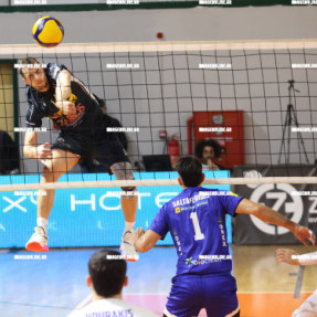 ΟΦΗ ΦΟΙΝΙΚΑΣ ΣΥΡΟΥ