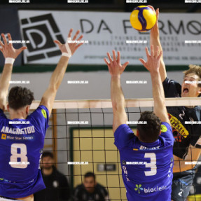 ΟΦΗ ΦΟΙΝΙΚΑΣ ΣΥΡΟΥ