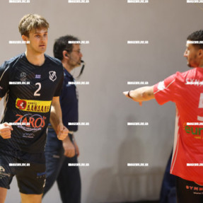 ΟΦΗ ΦΟΙΝΙΚΑΣ ΣΥΡΟΥ