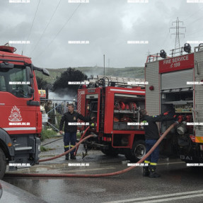 ΦΩΤΙΑ ΣΕ ΚΟΝΤΕΙΝΕΡ ΣΤΙΣ ΜΑΛΑΔΕΣ