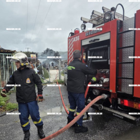 ΦΩΤΙΑ ΣΕ ΚΟΝΤΕΙΝΕΡ ΣΤΙΣ ΜΑΛΑΔΕΣ