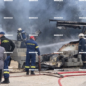 ΦΩΤΙΑ ΣΕ ΚΟΝΤΕΙΝΕΡ ΣΤΙΣ ΜΑΛΑΔΕΣ