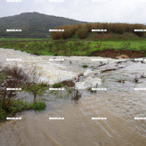 ΦΡΑΓΜΑ ΑΠΟΣΕΛΕΜΗ