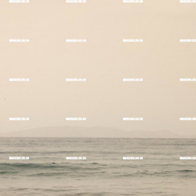 ΑΦΡΙΚΑΝΙΚΗ ΣΚΟΝΗ