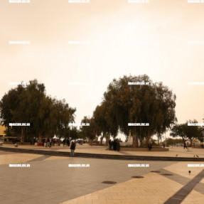 ΑΦΡΙΚΑΝΙΚΗ ΣΚΟΝΗ