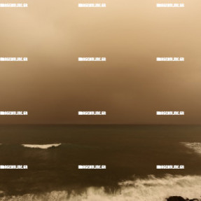 ΑΦΡΙΚΑΝΙΚΗ ΣΚΟΝΗ