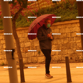 ΑΦΡΙΚΑΝΙΚΗ ΣΚΟΝΗ