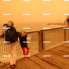 ΑΦΡΙΚΑΝΙΚΗ ΣΚΟΝΗ