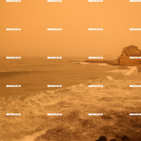 ΑΦΡΙΚΑΝΙΚΗ ΣΚΟΝΗ